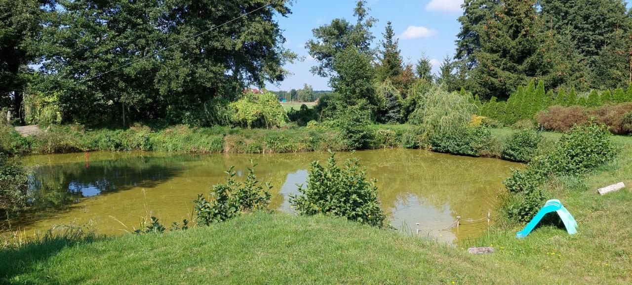 Agroturystyka Zielony Zakatek Villa Grudna Dış mekan fotoğraf